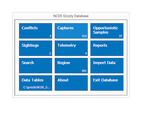 Grizzly Bear Conflict Management Database Application